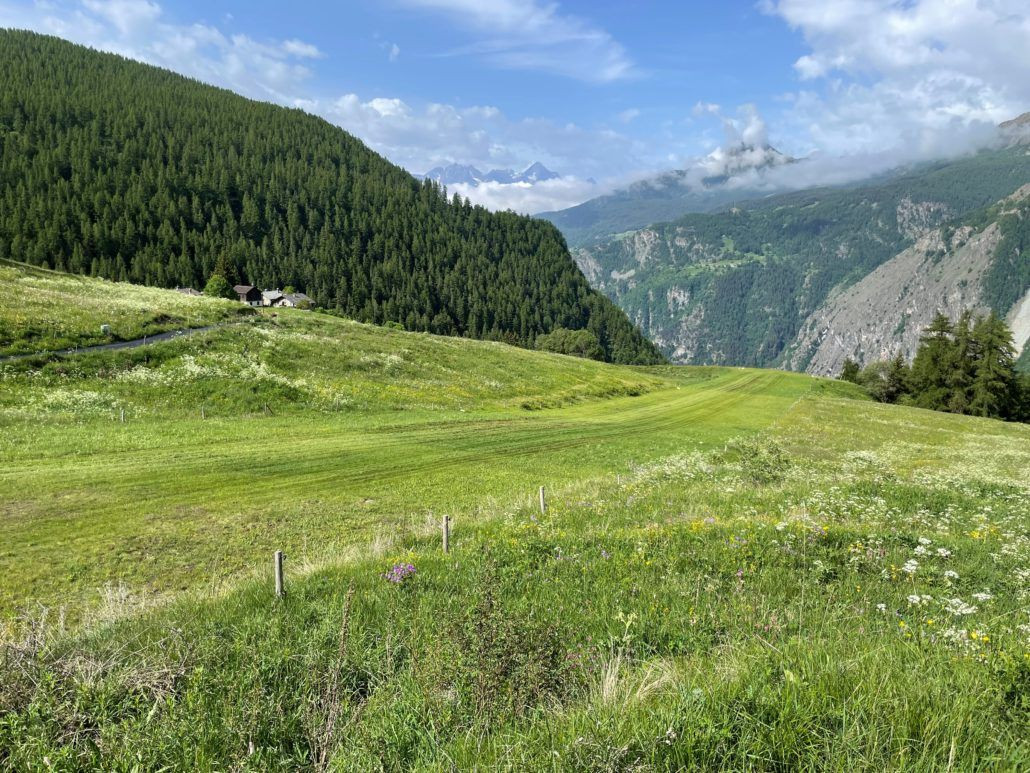 50. EMP Treffen in Chamois, IT